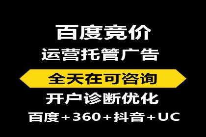 百度SEO推广案例：实战解析与效果展示